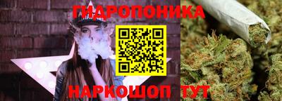 apvp Беслан