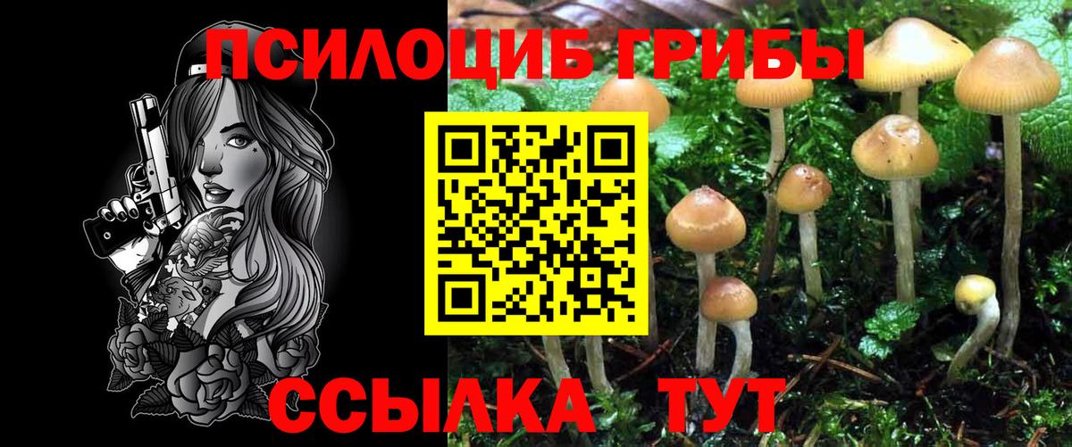 Галлюциногенные грибы Cubensis Керчь